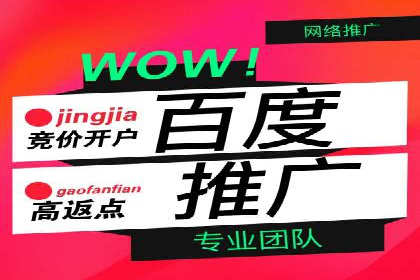 百度推广代运营公司案例分享：效果显著的销售增长